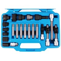 BGS Lichtmaschinen Bit Satz Steckschlüssel Vielzahn Torx  für Bosch Mercedes BMW VW