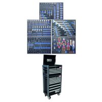 BGS Werkstattwagen Profi Standard Maxi komplett mit 243...