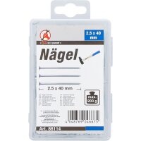 BGS DIY Nägel-Sortiment | 200 g | 2,5 x 40 mm