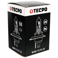 TECPO H4 Glühbirne 12V 55W P43T