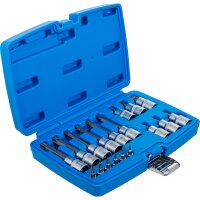 BGS Bit-Einsatz-Satz | Antrieb Innenvierkant 6,3 mm (1/4") / 12,5 mm (1/2") | T-Profil (für Torx) mit Bohrung | 18-tlg.