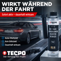 4x TECPO KAT-, AGR-, Lambdasonden- & Injektor-Reiniger ESTER, 300 ml