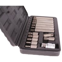 BGS DIY Bit-Satz | Antrieb Außensechskant 10 mm (3/8") | T-Profil (für Torx) | 15-tlg.