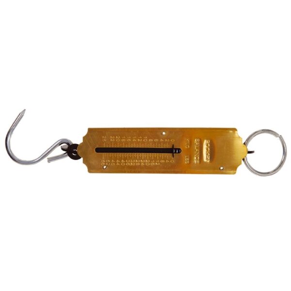 BGS DIY Taschenfederwaage, bis 25 kg