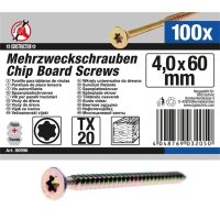 BGS DIY Mehrzweckschrauben, 4,0x60 mm, T20, 100 Stück