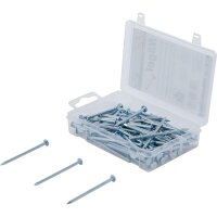 BGS DIY Nägel-Sortiment | 250 g | 2,8 x 60mm