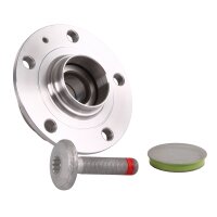 SKF Radlagersatz