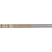BGS Spiralbohrer | HSS-G | titan-nitriert | 1,0 mm | 2-tlg.