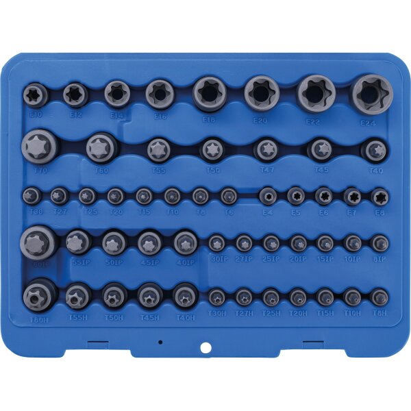 BGS Bit-Einsatz- und Steckschlüssel-Einsatz-Satz | E-Profil / T-Profil (für Torx) / T-Profil (für Torx) mit Bohrung / TP-Profil (für Torx Plus) | 52-tlg.