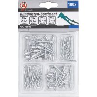 BGS DIY Blindnieten-Sortiment | Ø 2,4 - 4,8 mm |...