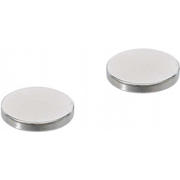 Magnet-Satz | extra stark | Ø 18 mm | 2-tlg.