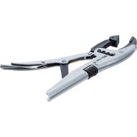 BGS Gripzange | 4-fache Schnelljustierung | schwenkbare Backenenden | französischer Typ | 250 mm