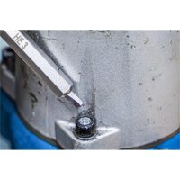 BGS Schraubenausdreher-Satz | für Innensechskant 1,5 - 10 mm / T-Profil (für Torx) | T10 - T55 | 19-tlg.