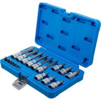 BGS Bit-Einsatz-Satz | Antrieb Innenvierkant 6,3 mm (1/4") / 12,5 mm (1/2") | Innensechskant | 18-tlg.