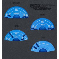 BGS Werkstattwageneinlage 1/6:...