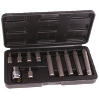 BGS DIY Bit-Satz | Antrieb Außensechskant 10 mm (3/8") | Innenvielzahn (für XZN) | 11-tlg.