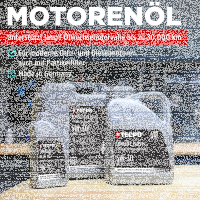 2L TECPO 5W-30 LONGLIFE PLUS MOTORÖL für VW...