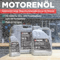 5L TECPO 5W-30 LONGLIFE PLUS MOTORÖL für VW 504.00 507.00 MB 229.31 229.51 BMW LL-04 C30 + Motorspülung Motor Flush Motorreiniger 300 ml