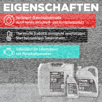 5L TECPO 5W-30 LONGLIFE PLUS MOTORÖL für VW 504.00 507.00 MB 229.31 229.51 BMW LL-04 C30 + Motorspülung Motor Flush Motorreiniger 300 ml