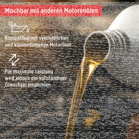 5L TECPO 5W-30 LONGLIFE PLUS MOTORÖL für VW 504.00 507.00 MB 229.31 229.51 BMW LL-04 C30 + Motor Doctor Motoröl Anti-Verschleißschutz, 300 ml