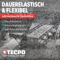 2x TECPO Universal Klebe- und Dichtstoff FLEX SEAL 522 SCHWARZ 1K MS-Polymer UV-stabil und witterungsbeständig + Alu-Kartuschenpresse 220 mm