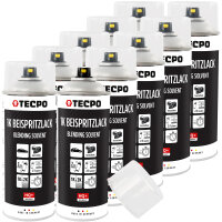 10x TECPO 1K Beispritzlack, 400 ml