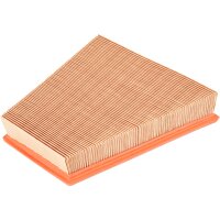 FEBI BILSTEIN 24394 Luftfilter
