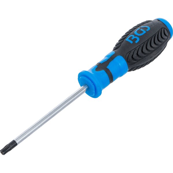 BGS Schraubendreher | T-Profil (für Torx) mit Bohrung T30 | Klingenlänge 100 mm