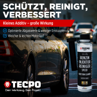 TECPO Injektor Reiniger ESTER Benzin Einsprizdüsen Additiv 300 ml