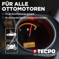 TECPO Injektor Reiniger ESTER Benzin Einsprizdüsen Additiv 300 ml