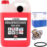MAHLE Thermostat + TECPO Kühlerfrostschutz, 5 L