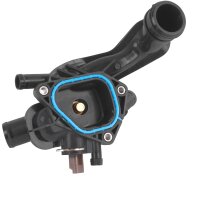 Thermostat + Frostschutz AG13 grün, 5L