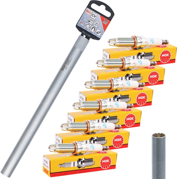 6x NGK Zündkerze + Zündkerzen-Einsatz 14 mm, mit Magnet, 12-kant, 10 (3/8), Länge 250 mm