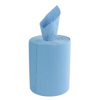 10x TECPO Putzrolle blau 2-lagig, 23x30 cm, MINI-300