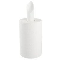 6x TECPO Putzrolle 2-lagig, 23x30 cm, WEIß-300