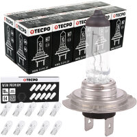 10x TECPO H7 Glühbirne 12V 55W - PX26d mit 10er...
