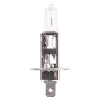 20x TECPO H1 Glühbirnen 12V 55W  P14.5S