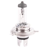 20x TECPO H4 Glühbirne 12V 60/55W P43T