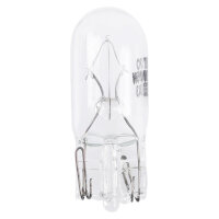 TECPO Glassockel 12V 5W - W5W, 100-teilig