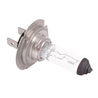 2x TECPO H7 Glühbirne 12V 55W - PX26d