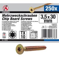 BGS DIY Mehrzweckschrauben, 3,5x30 mm, T10, 250 Stück