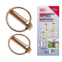 BGS Klappsplinten-Sortiment, 50-tlg.