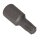 BGS Bit | Antrieb Außensechskant 10 mm (3/8") | T-Profil (für Torx) T40