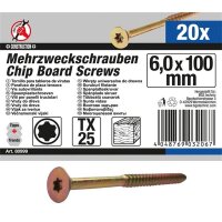 BGS DIY Mehrzweckschrauben | T-Profil (für Torx) T25...