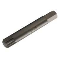 BGS Innenvielzahn-Bit, 75 mm lang, M12, 10 (3/8)