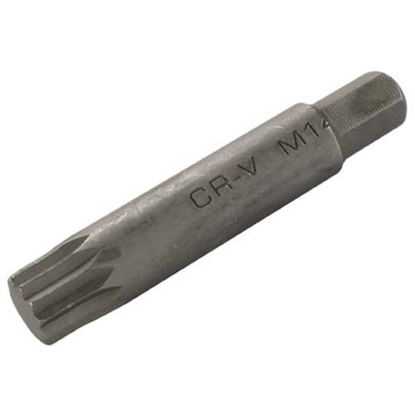 BGS Innenvielzahn-Bit, 75 mm lang, M14, 10 (3/8)