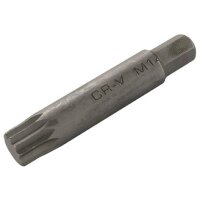BGS Innenvielzahn-Bit, 75 mm lang, M14, 10 (3/8)