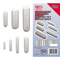 BGS Passfedern-Sortiment | 60-tlg.
