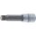 BGS Bit-Einsatz | Länge 100mm | Antrieb Innenvierkant 12,5mm (1/2") | Innenvielzahn (für XZN) M14